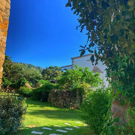 Agriturismo Casteddu Padru Εξωτερικό φωτογραφία