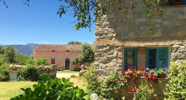 Agriturismo Casteddu Padru Εξωτερικό φωτογραφία