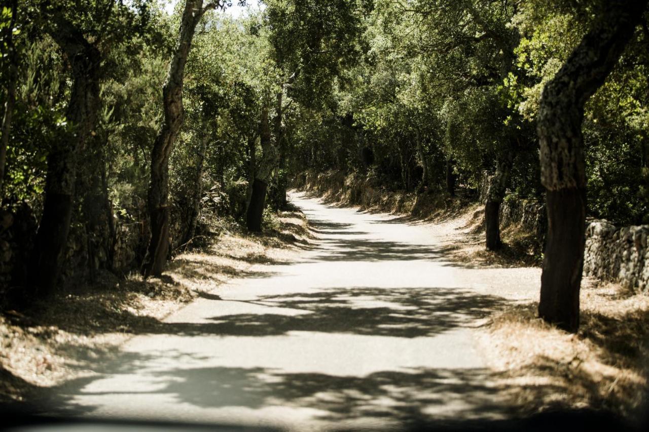 Agriturismo Casteddu Padru Εξωτερικό φωτογραφία