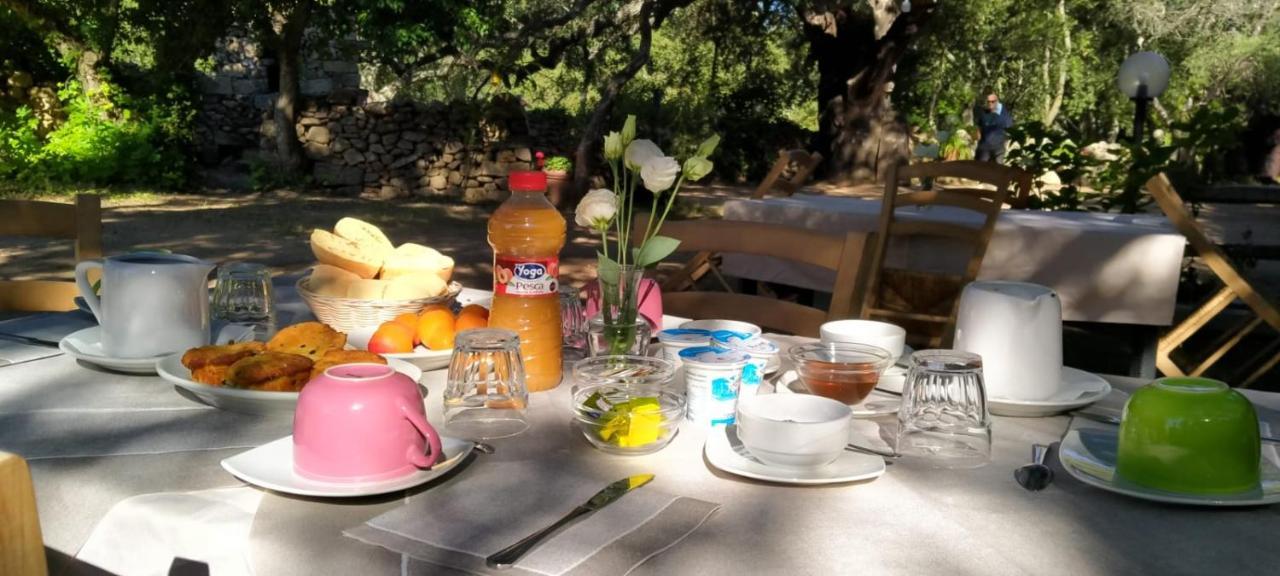 Agriturismo Casteddu Padru Εξωτερικό φωτογραφία