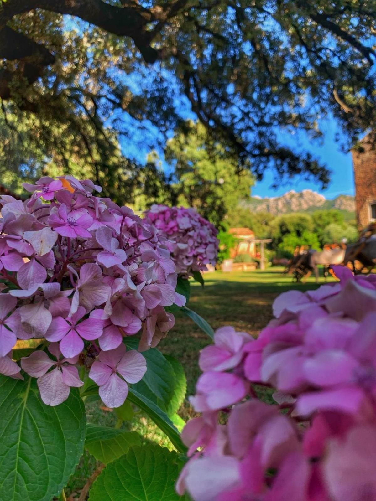 Agriturismo Casteddu Padru Εξωτερικό φωτογραφία