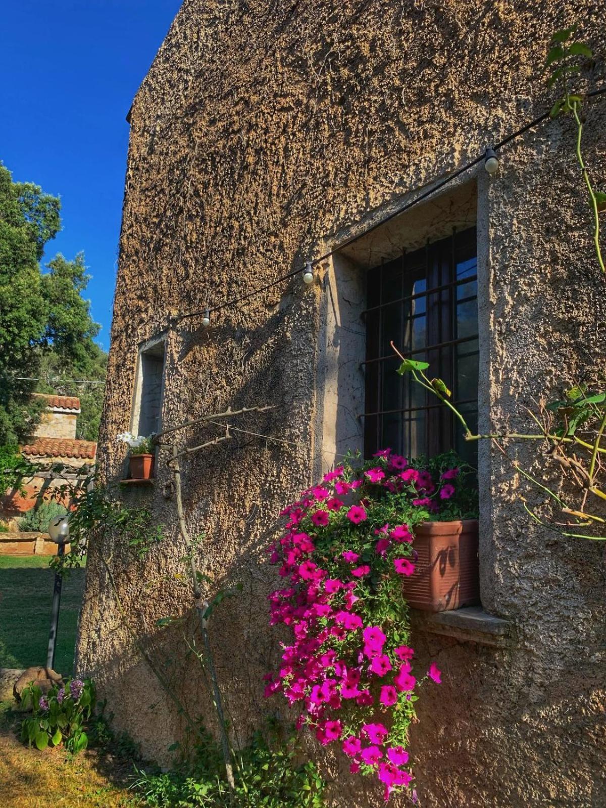 Agriturismo Casteddu Padru Εξωτερικό φωτογραφία
