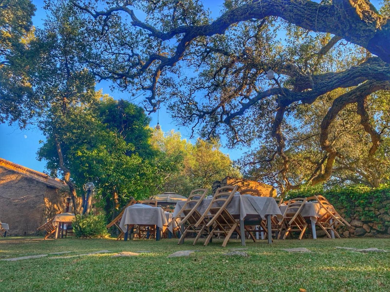 Agriturismo Casteddu Padru Εξωτερικό φωτογραφία