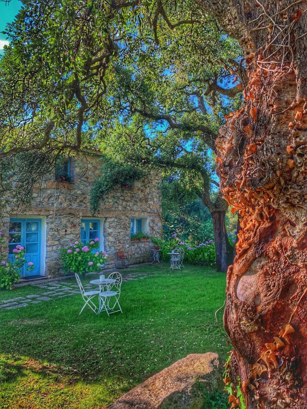 Agriturismo Casteddu Padru Εξωτερικό φωτογραφία